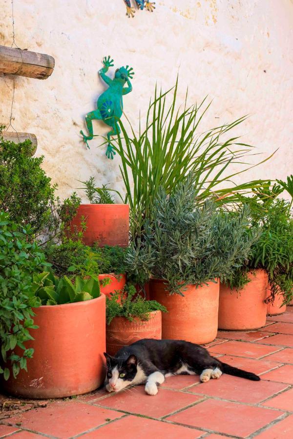 Albergue La Hacienda San Gil Exterior foto